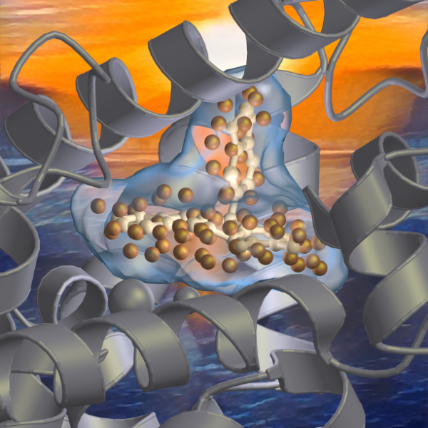 Computer-dependent drug discovery platform develops a cost-efficient platform for drug discovery, especially to target protein-protein interactions with small molecules.