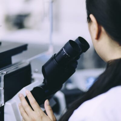 New discovery reveals how blood flow directs vessel health at the molecular level