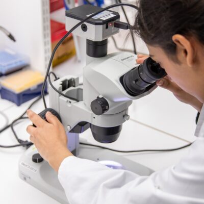 New laboratory tool opens door to better treatments for rare and deadly melanomas