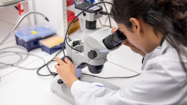 New laboratory tool opens door to better treatments for rare and deadly melanomas