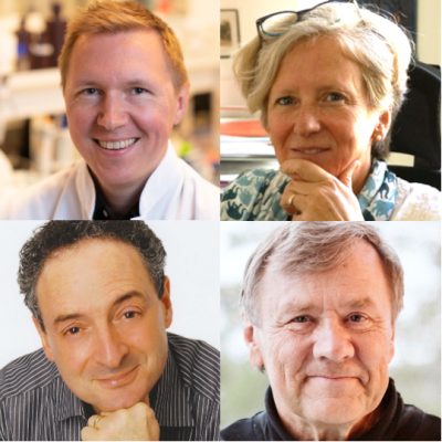 InFLAMES Flagship Receives Four More Experts as Visiting Professors